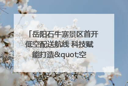 岳阳石牛寨景区首开低空配送航线 科技赋能打造"空中便利店"