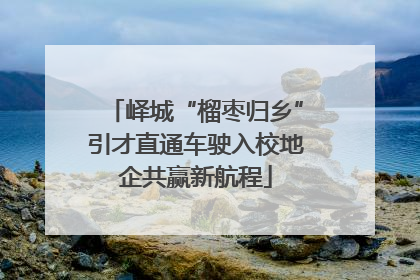 峄城“榴枣归乡”引才直通车驶入校地企共赢新航程