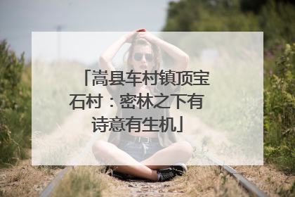 嵩县车村镇顶宝石村：密林之下有诗意有生机