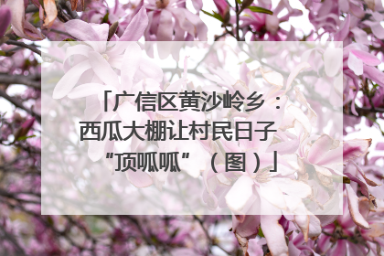广信区黄沙岭乡：西瓜大棚让村民日子“顶呱呱”（图）