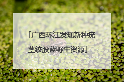 广西环江发现新种疣茎绞股蓝野生资源