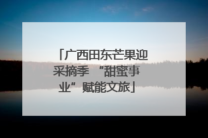 广西田东芒果迎采摘季 “甜蜜事业”赋能文旅