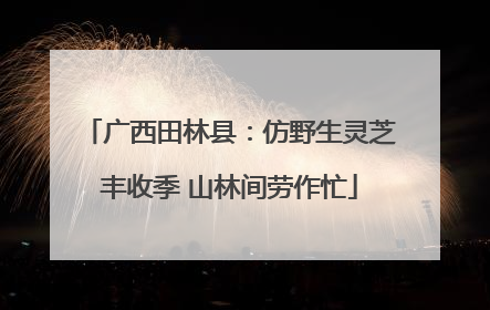 广西田林县：仿野生灵芝丰收季 山林间劳作忙