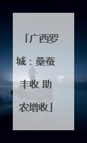 广西罗城：桑蚕丰收 助农增收
