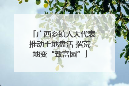广西乡镇人大代表推动土地盘活 撂荒地变“致富园”