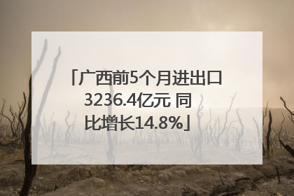 广西前5个月进出口3236.4亿元 同比增长14.8%