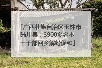广西壮族自治区玉林市陆川县：3900多名本土干部回乡解纷促和