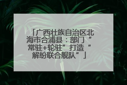 广西壮族自治区北海市合浦县：部门“常驻+轮驻”打造“解纷联合舰队”