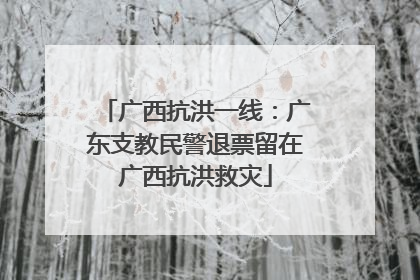 广西抗洪一线：广东支教民警退票留在广西抗洪救灾