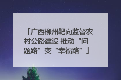 广西柳州靶向监督农村公路建设 推动“问题路”变“幸福路”
