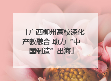 广西柳州高校深化产教融合 助力“中国制造”出海