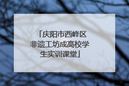 庆阳市西峰区 非遗工坊成高校学生实训课堂