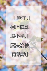 庐江县柯坦镇陈埠小学开展法治教育活动