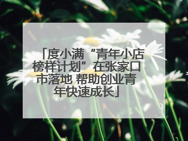 度小满“青年小店榜样计划”在张家口市落地 帮助创业青年快速成长