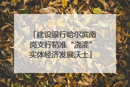 建设银行哈尔滨南岗支行精准“浇灌”实体经济发展沃土
