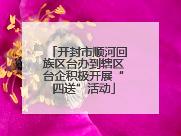 开封市顺河回族区台办到辖区台企积极开展“四送”活动