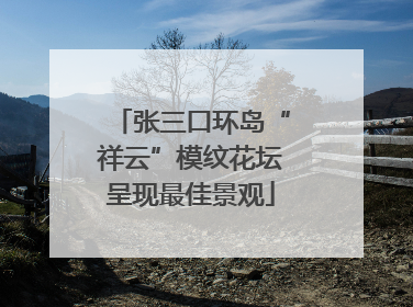 张三口环岛“祥云”模纹花坛呈现最佳景观