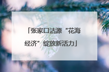 张家口沽源“花海经济”绽放新活力