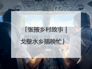 张掖乡村故事｜戈壁水乡插秧忙