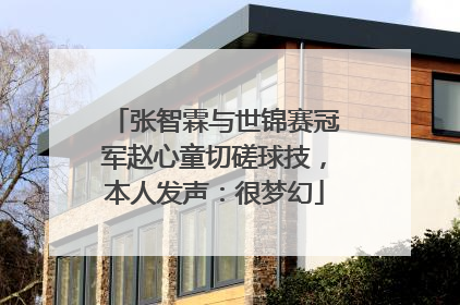 张智霖与世锦赛冠军赵心童切磋球技，本人发声：很梦幻