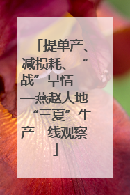 提单产、减损耗、“战”旱情——燕赵大地“三夏”生产一线观察