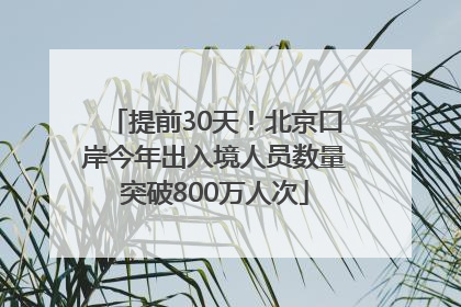 提前30天！北京口岸今年出入境人员数量突破800万人次