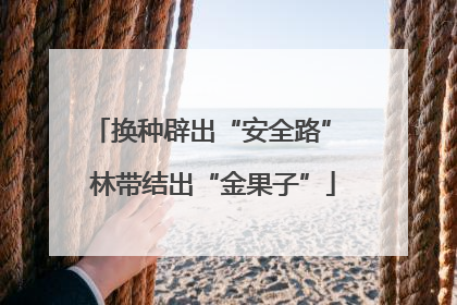 换种辟出“安全路” 林带结出“金果子”