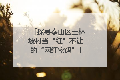 探寻泰山区王林坡村当“红”不让的“网红密码”