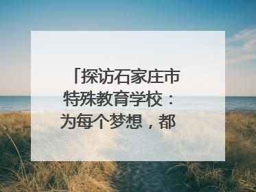 探访石家庄市特殊教育学校：为每个梦想，都插上“翅膀”