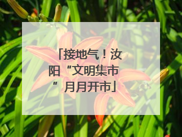 接地气！汝阳“文明集市”月月开市