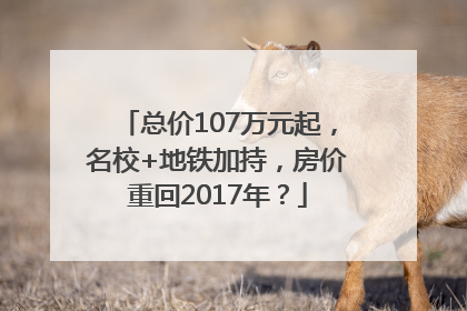 总价107万元起，名校+地铁加持，房价重回2017年？