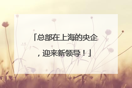 总部在上海的央企，迎来新领导！