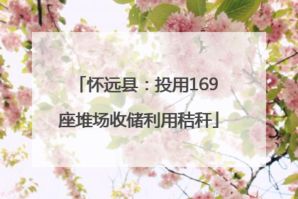 怀远县：投用169座堆场收储利用秸秆