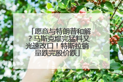 愿意与特朗普和解?马斯克爆完猛料又光速改口!特斯拉销量跌完股价跌