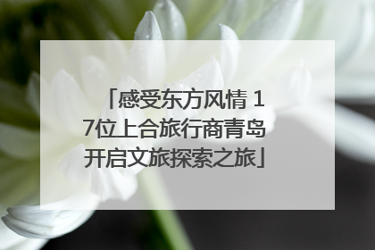 感受东方风情 17位上合旅行商青岛开启文旅探索之旅