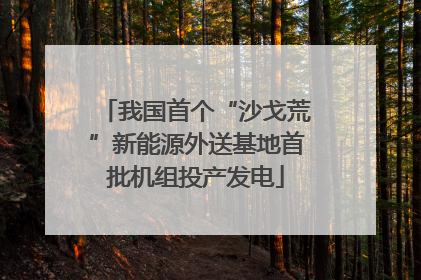 我国首个“沙戈荒”新能源外送基地首批机组投产发电