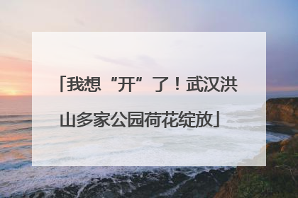 我想“开”了！武汉洪山多家公园荷花绽放