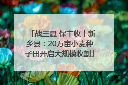战三夏 保丰收丨新乡县：20万亩小麦种子田开启大规模收割