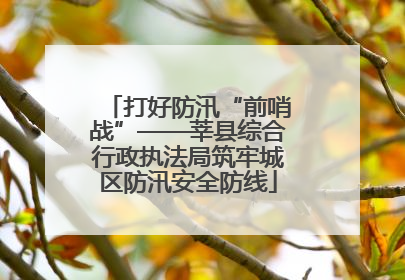 打好防汛“前哨战”——莘县综合行政执法局筑牢城区防汛安全防线