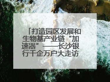 打造园区发展和生物基产业链“加速器”——长沙银行千企万户大走访·怀化高新区、生物基产业链专场活动举行