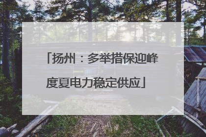 扬州：多举措保迎峰度夏电力稳定供应