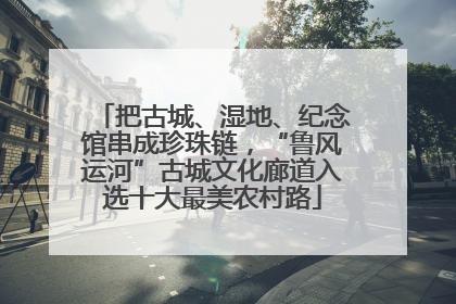 把古城、湿地、纪念馆串成珍珠链，“鲁风运河”古城文化廊道入选十大最美农村路