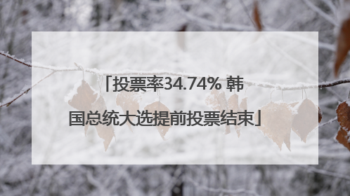 投票率34.74% 韩国总统大选提前投票结束