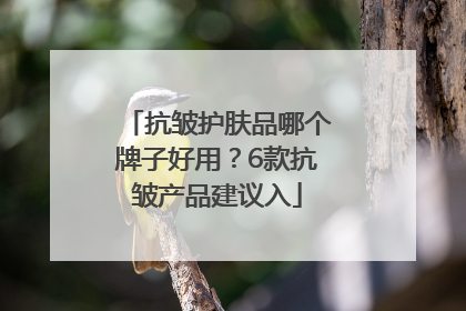 抗皱护肤品哪个牌子好用？6款抗皱产品建议入