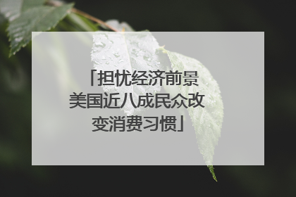 担忧经济前景 美国近八成民众改变消费习惯