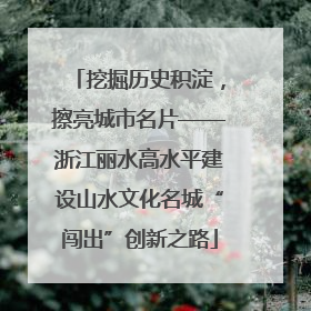 挖掘历史积淀，擦亮城市名片——浙江丽水高水平建设山水文化名城“闯出”创新之路