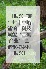 振兴“湘”村｜中路铺镇：科技赋能“金蛋产业” 全链驱动乡村振兴