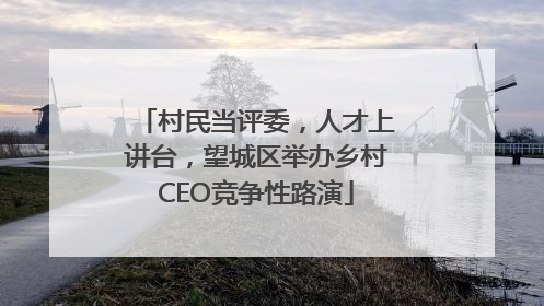 村民当评委，人才上讲台，望城区举办乡村CEO竞争性路演
