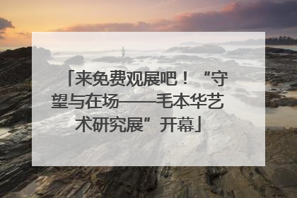 来免费观展吧！“守望与在场——毛本华艺术研究展”开幕