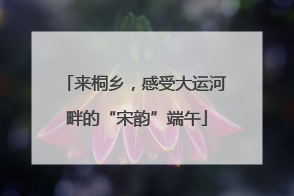 来桐乡，感受大运河畔的“宋韵”端午
